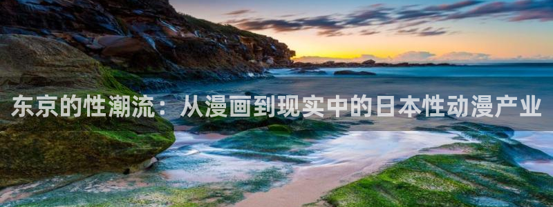 风车动漫官网入门