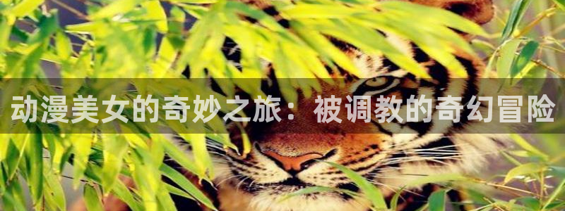风车动漫p专注动漫的门户网站风车动漫下载：动漫美女的奇妙之旅：被调教的奇幻冒险