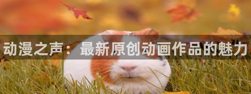 风车动漫网肉片：动漫之声：最新原创动画作品的魅力