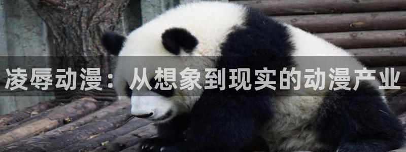 风车动漫(p)_专注动漫的