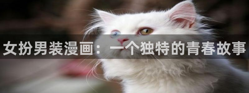 风车动漫网肉片：女扮男装漫画：一个独特的青春故事