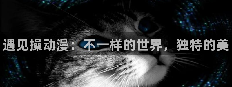 风车动漫官网樱花官网：遇见操动漫：不一样的世界，独特的美