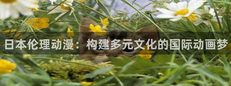 风车动漫动漫网在线观看：日本伦理动漫：构建多元文化的国际动画梦